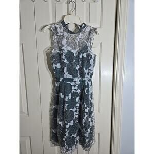 Sleeveless A Line Pleated Green Lined White Lace Over In Floral Design Dress XS